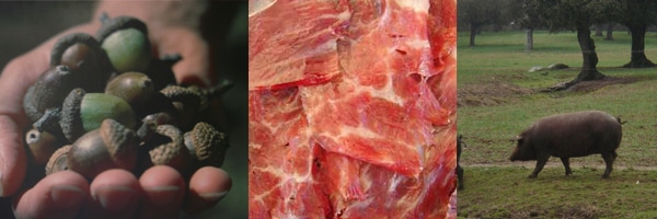 Elaboration Process Iberian Ham Pata Negra